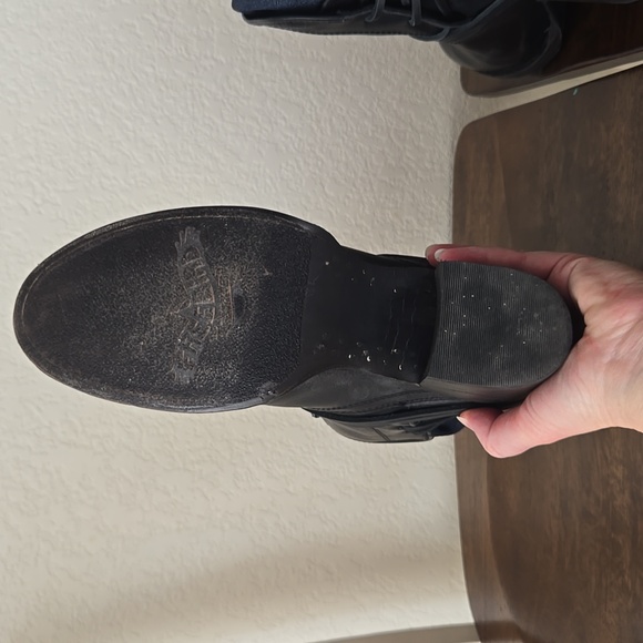 Freebird Casey - Picture 9 of 12